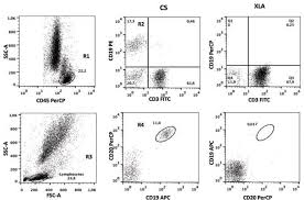 Análisis de Linfocitos mediante Citometría de Flujo: Avances en Inmunología