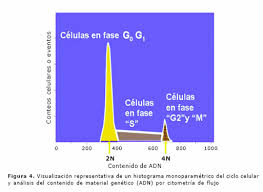 citometría de flujo interpretación