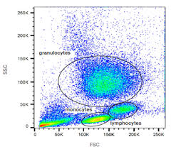 citometria de flux