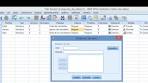 Análisis de datos en SPSS: Maximizando el Potencial de tu Investigación