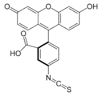 fitc fluorocromo