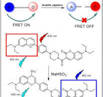 Guía Esencial sobre Fluorocromos y Fluoróforos en Citometría de Flujo