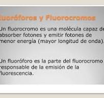 Explorando el Mundo de los Fluoróforos y Fluorocromos en Citometría de Flujo